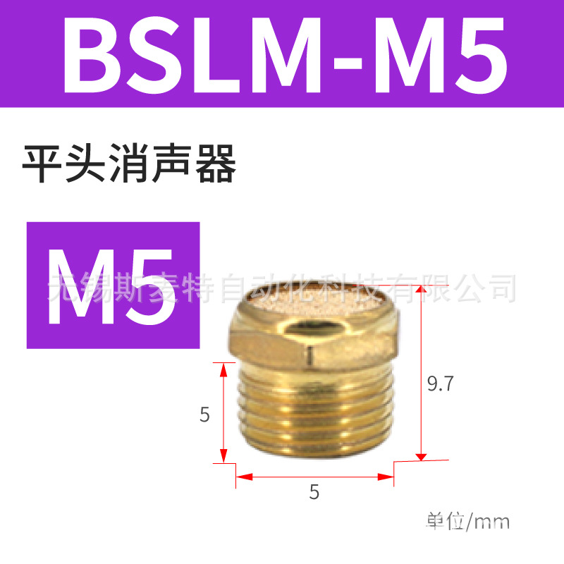 ֱͭ ƽͷBSLM-01/02ŷ 