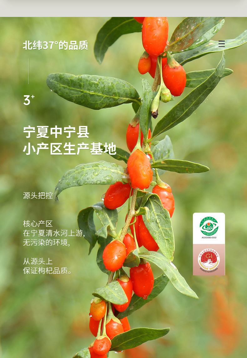 Ning'anbao Zhongning Goji Berries 250g Jar Premium Ningxia Dried Wolfberry Ready to Eat key features