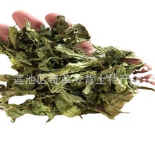 �n�ݲ�,�{�컨,����,���l��ș�đn�ݲݣ��Ҳ�����ș���Ԓ��ԃ