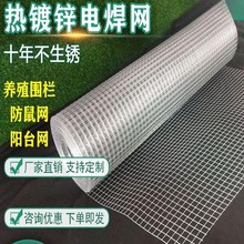 防锈围栏网小孔阳台钢丝热镀锌养殖网护栏镀锌铁丝网网格防鼠防护