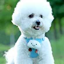 ���������K����ʽС��Ȯ̩�ϱ��ܲ����ر�����Ȯ�������Ó�޹��K