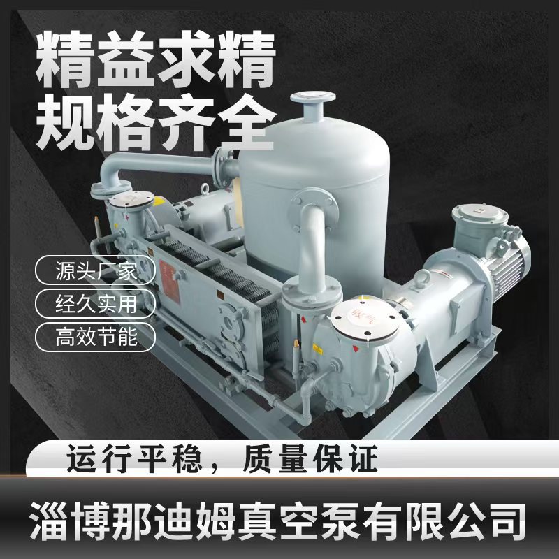 厂家现货供应闭式循环水环式真空泵机组 2BV一开一备水环真空机组