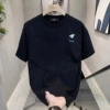 [Bingshi Black T] Small plane