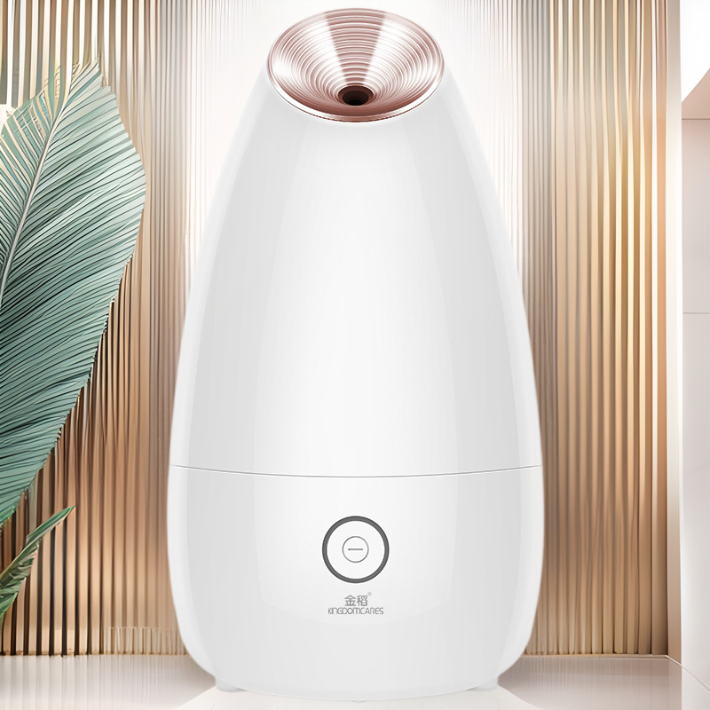 Golden Rice face steamer face steamer nano hot and cold spray water replenishing instrument facial steamer hot spray machine steam hot spray KD2331