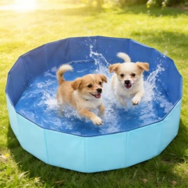 游泳圈;游泳池;宠物浴池