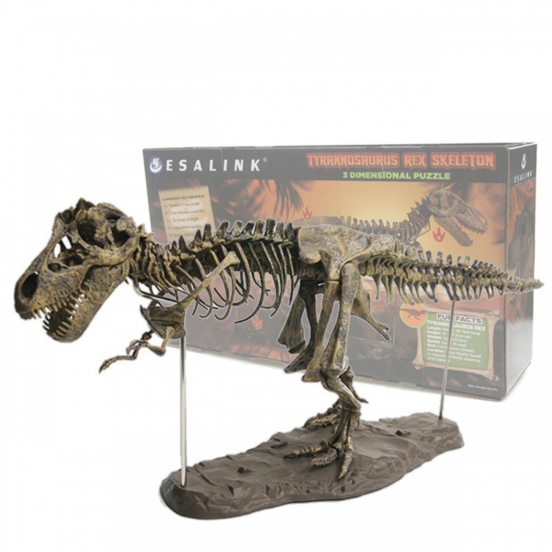 大型恐竜スケルトン装飾品スケルトンモデルジュラ紀組み立て骨格化石ドラゴンティラノサウルスレックス化石|undefined