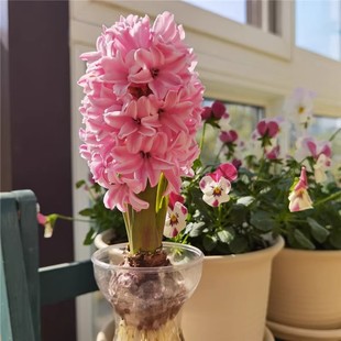 �L���ӷN���M������ˮ���ͺ��ٺ������ļ��Nֲ������㻨�ܾGֲ