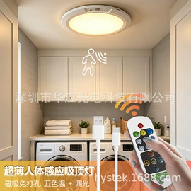感应灯;吸顶灯;小夜灯
