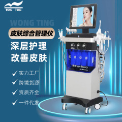 Haifei 多機能皮膚管理総合機器ショー美容室特別な大小の泡洗浄顔美容機器