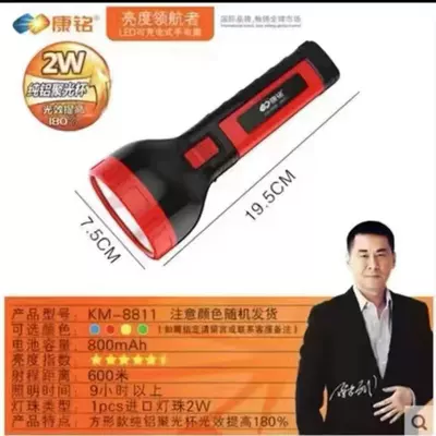 Outdoor Use with Extra-Large — UV fənərlər - 8811