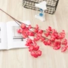 Single -layer cherry blossom red