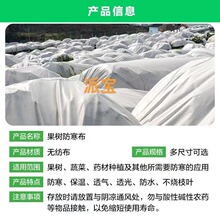 ���ٷ��������䱣�ز��@ˇ��˪���@���������̷ָ�˪�����o����