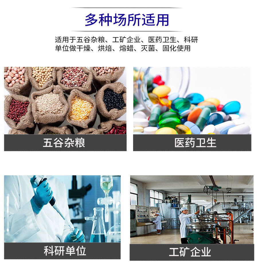 鼓风干燥箱 数显电热