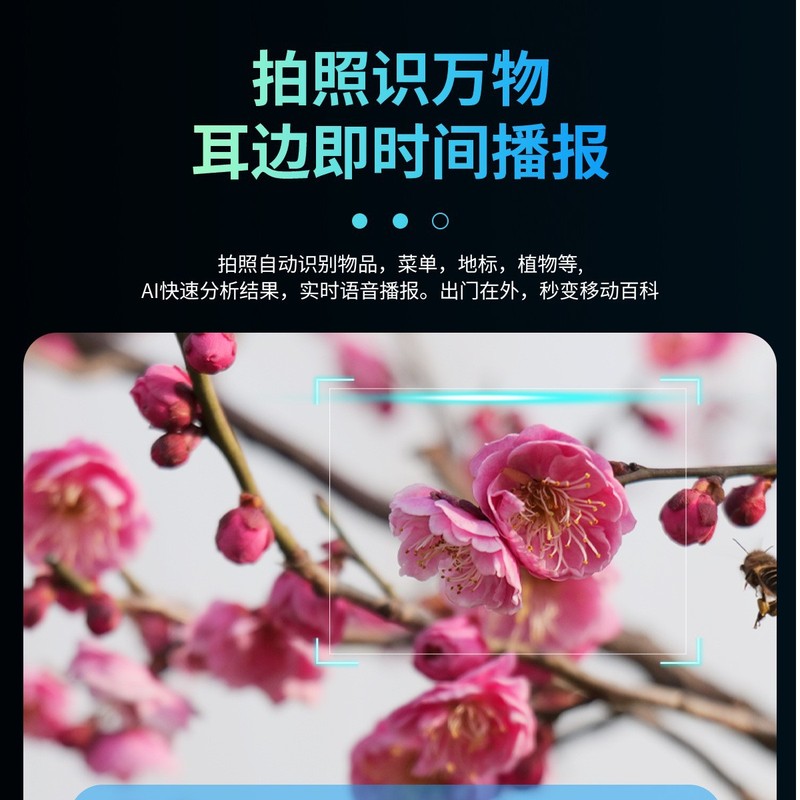 新款CY01智能眼镜800W摄像头AI防抖拍照万物识别翻译通话录像语音|undefined