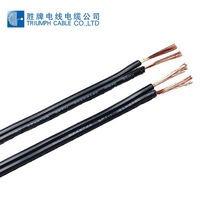 胜牌UL美标电线交流双并电子线SPT-120号2芯扁平电器连接线耐高温