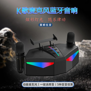 2025 New Bluetooth Audio Karaoke Speaker 1 Subwoofer Bluetooth Speaker 1 Export Audio Cross-Border Bluetooth Speaker
