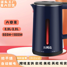 跨境燒水壺旅行用小電熱水壺不銹鋼熱水壺水壺家用迷你電水壺恆溫