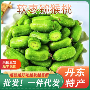 正宗丹东软枣猕猴桃奇异果新鲜水果自家当季弥猴桃批发一件代发-阿里巴巴