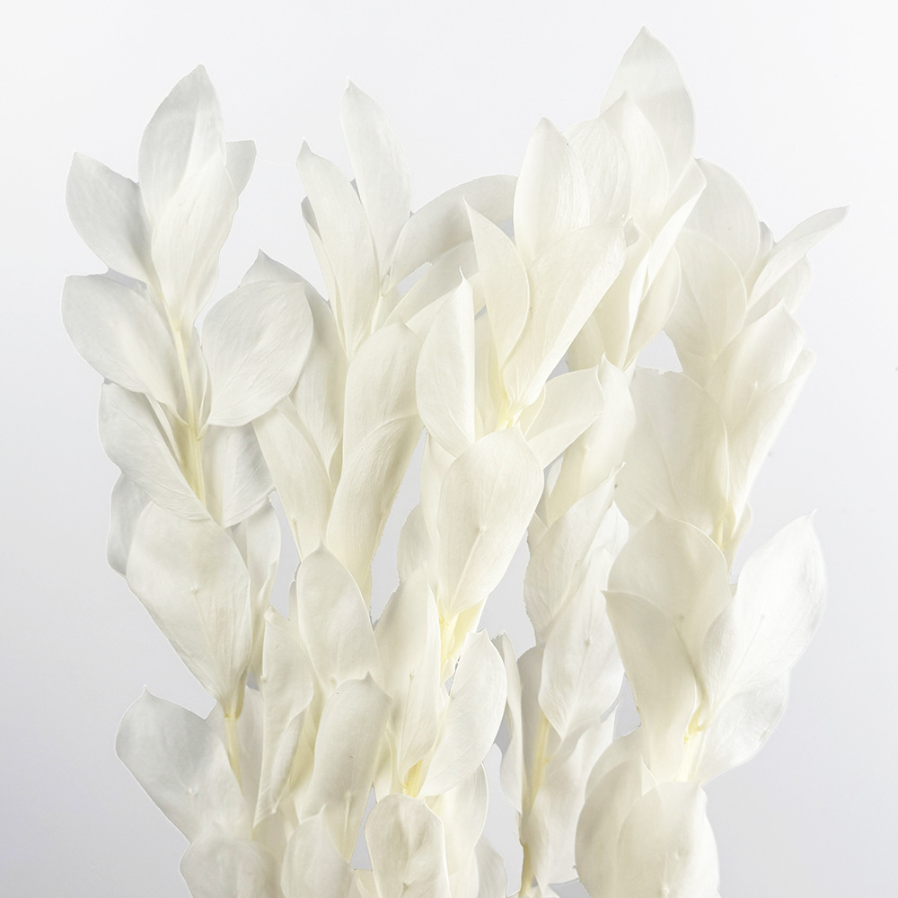 Imortales flores de naranja importación de alta calidad flores verdaderas flores secas ramo de flores DIY día de San Valentín flores hechas a mano fábrica de Yunnan al por mayor