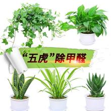 �G�}���m�����ٻ�Ƥ�m�J�C�����҃��·�����ȩ�Gֲ������՚⻨��