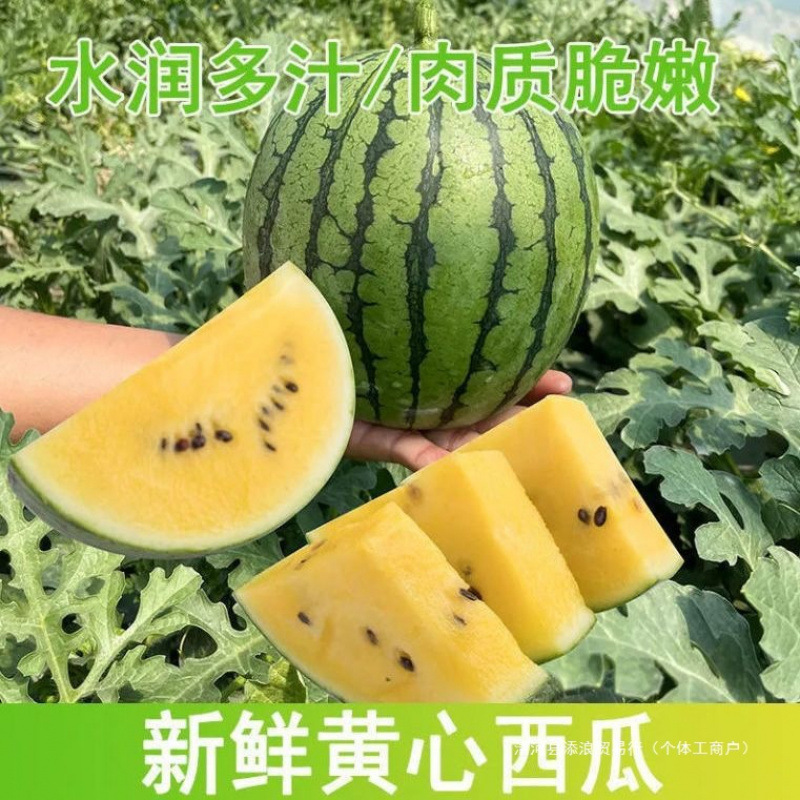 特小凤西瓜当天现摘现发黄心富硒黄瓤黄肉当季甜瓜新鲜水果孕妇