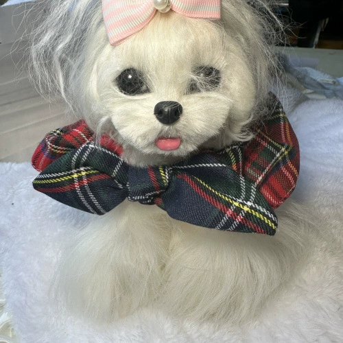 Домашние животные банты в клетку Рождество Новый год красный ошейник