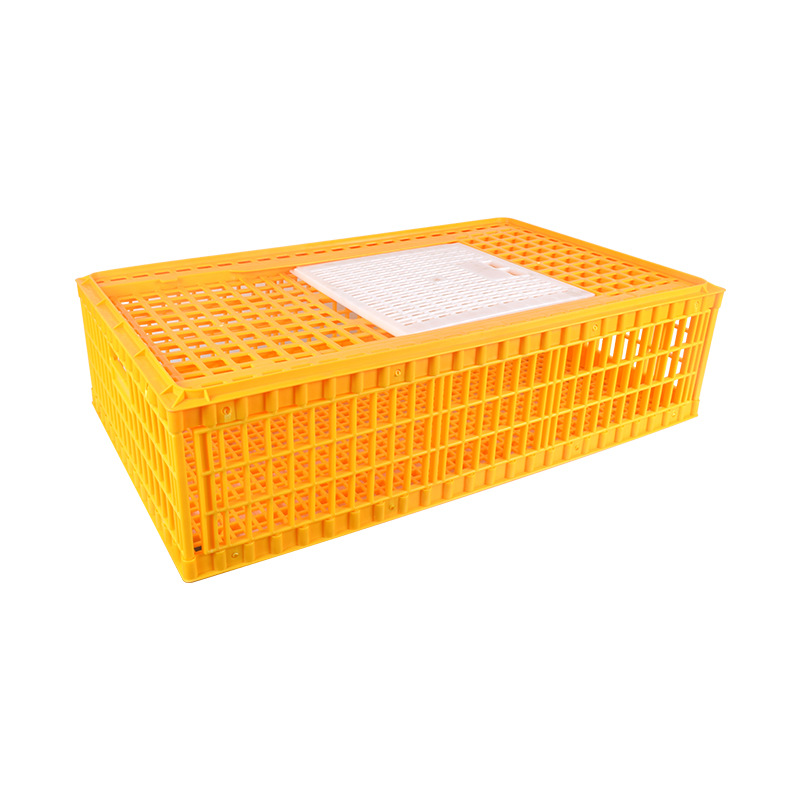 Tipo de exportación caja de facturación de jaula de pollo de transporte de cría de plástico hogar cesta grande en pollo pato ganso paloma jaula de conejo
