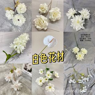 ��c���滨��ɫ�ֹ������ٻ���c���Ż��ҾӔ[���羳õ�廨����