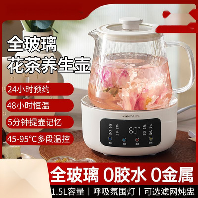 养生壶全玻璃迷你花茶壶分体式煮茶器家用多功能办公室小型炖跨境|ms