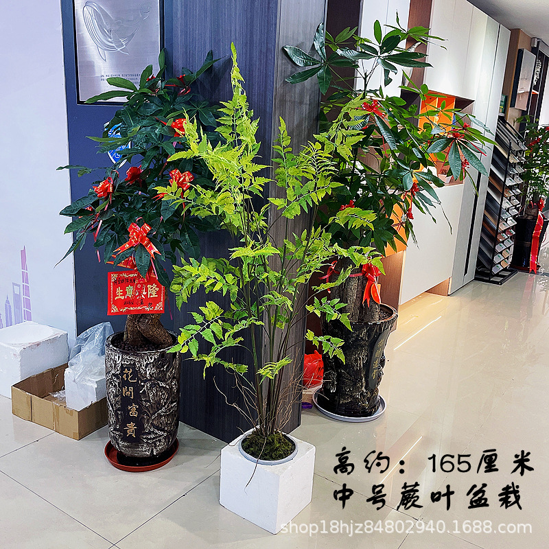 9e879af60c8ffb6c4b16ed485a30ea