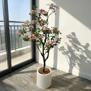 ���溣�Ļ����Կ͏d����bGֲ���滨�ٻ��ҾӔ[���p���L�҃Ȕ[