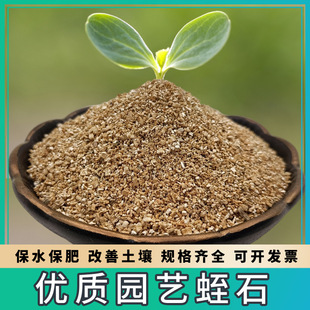 �@ˇ��ʯ����Ǥ��N�����B���軨���Nֲ�Gֲ�l�͌��ñ�ˮ�������l