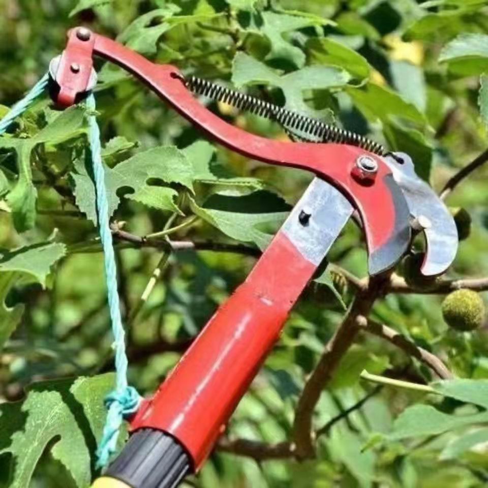 54d3dff653c16a412021f4f788dc7d