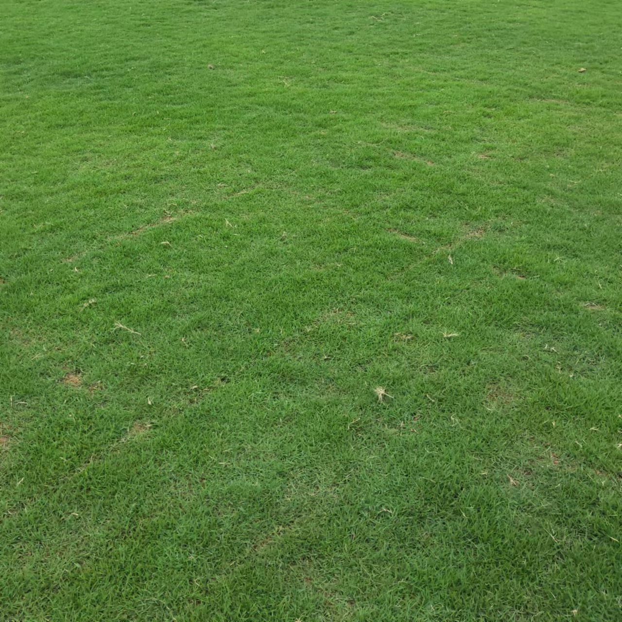 5686007af8323b497f33d375f88879