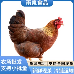 �V�|���h�u�r��ɢ�B210�����u�������u��ĸ�����ߵ��u