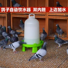 鸽子饮水器水壶鸽子用品用具信鸽水槽草窝站架鸽具食槽鸟用喝水严