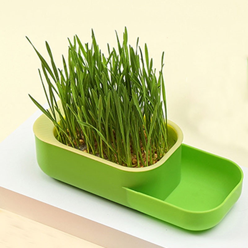 Perezoso gato hierba taza de gato sin suelo hidroponía gato hierba espuma bola de pelo gato bocadillos hierba al por mayor se puede repetir