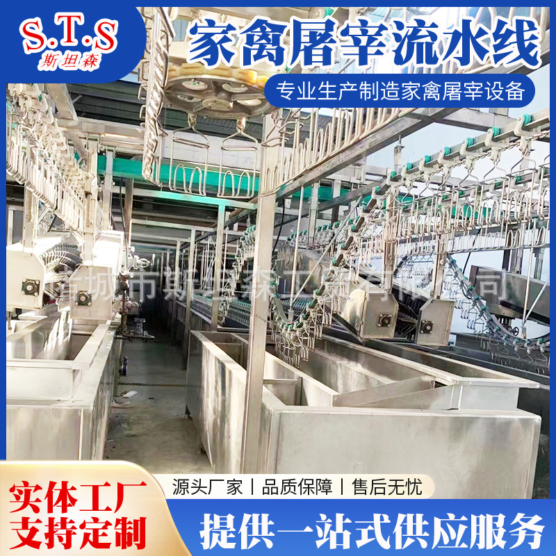大中小型鹅屠宰流水线设备 鹅屠宰设备价格 自动鹅屠宰脱毛机械