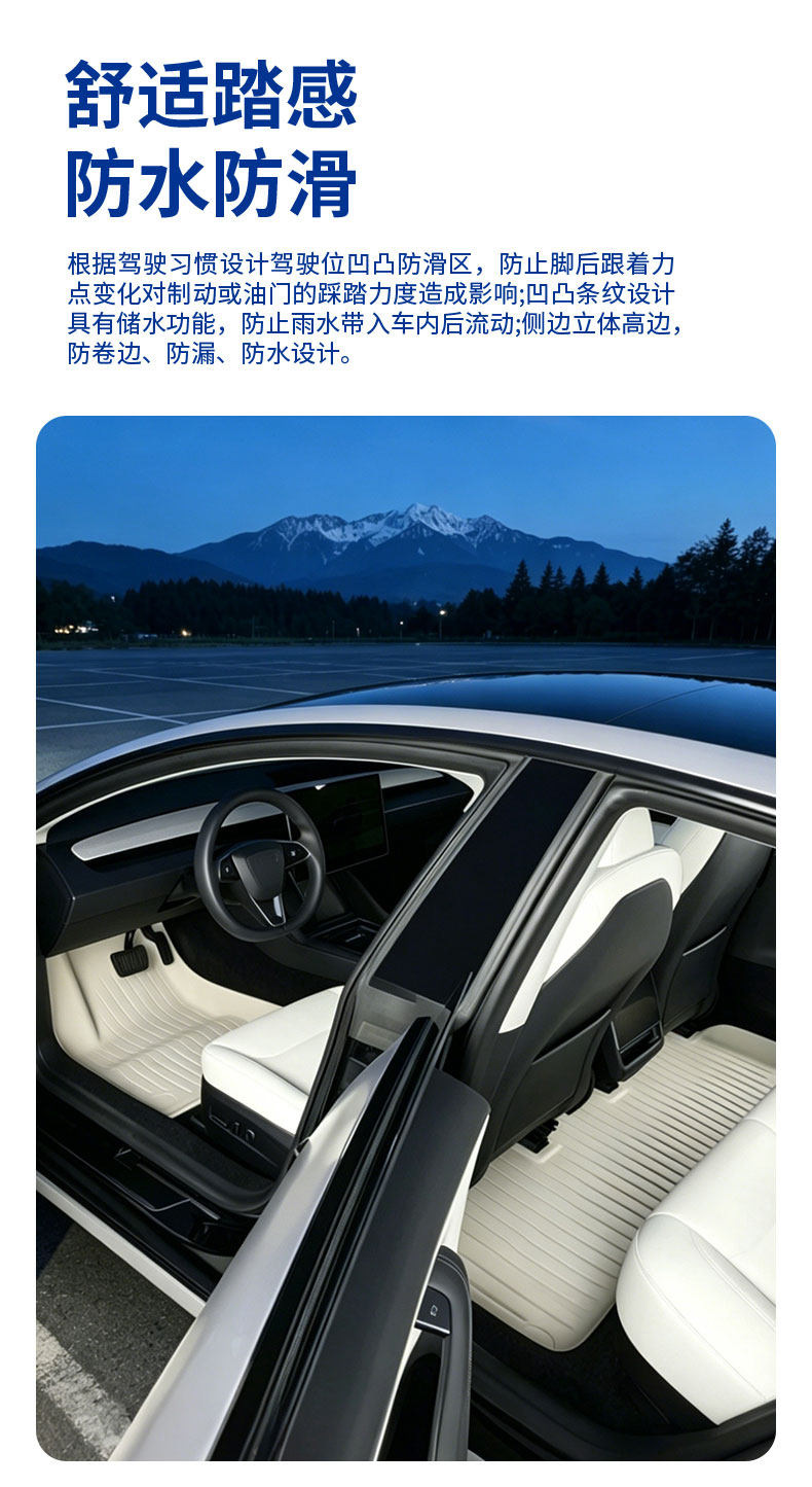 Volkswagen Lavida, Bora, Passat, Magotan, Polo, Lamando, Sagitar, Jetta, Santana Special Tpe Car Floor Mats