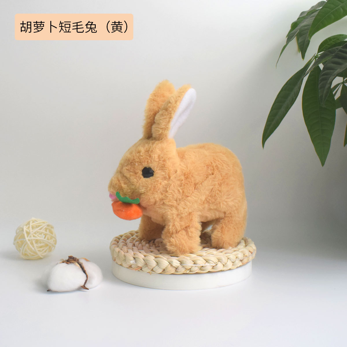 노란 당근 토끼