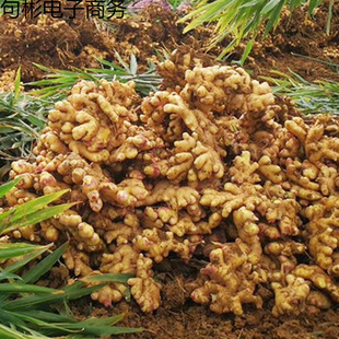 �������С�S���r���۽����ӽ��F�ڽ����l24610���������l�羳