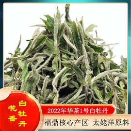 福鼎白茶华茶1号磻溪荒野花香白牡丹 小菜茶老土茶太姥洋产区批发