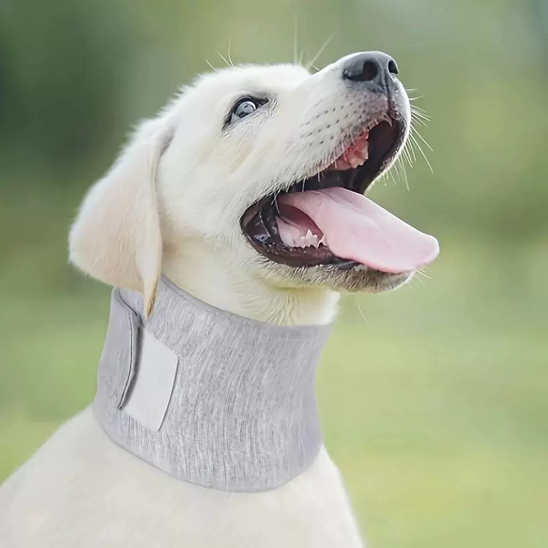 Собака кошачья шея гнилая шея защитная шея ошейник анти-захват, лизать и укусить раны Домашнее животное Элизабет круг