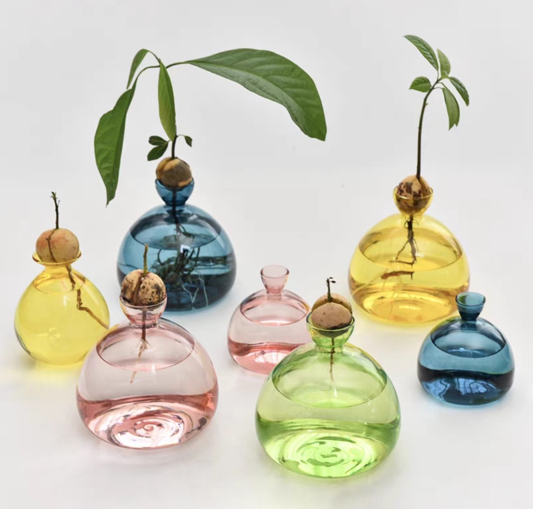 Colorful Hydroponic Glass Vase Seed Planting Vessel Desktop Decoration Japanese Avocado Core Growing Hydroponic Container