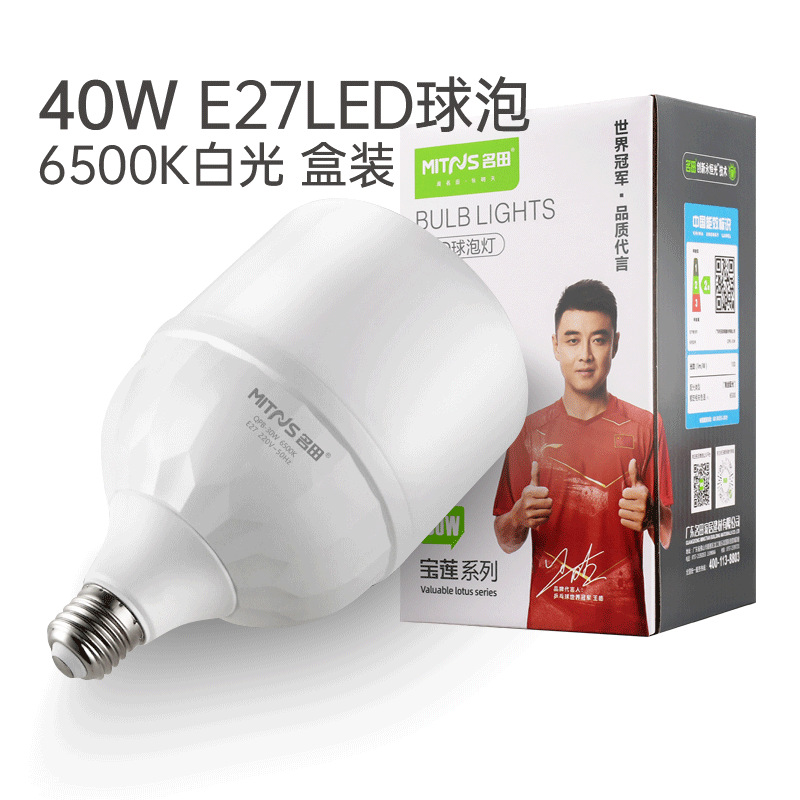 Bombilla LED (40W luz blanca)