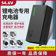全新三元锂13串54.6V锂电池电动车电瓶锂电池充电器48V2A3A5A8A