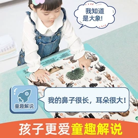 惯性回力玩具;积木类;拼插类玩具