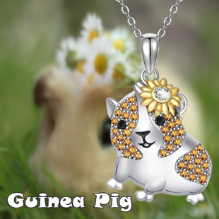 �羳���N�ɐۿ�ͨ��ɫˮ����������朕r�аٴ�Ůʿ�錚��Y��