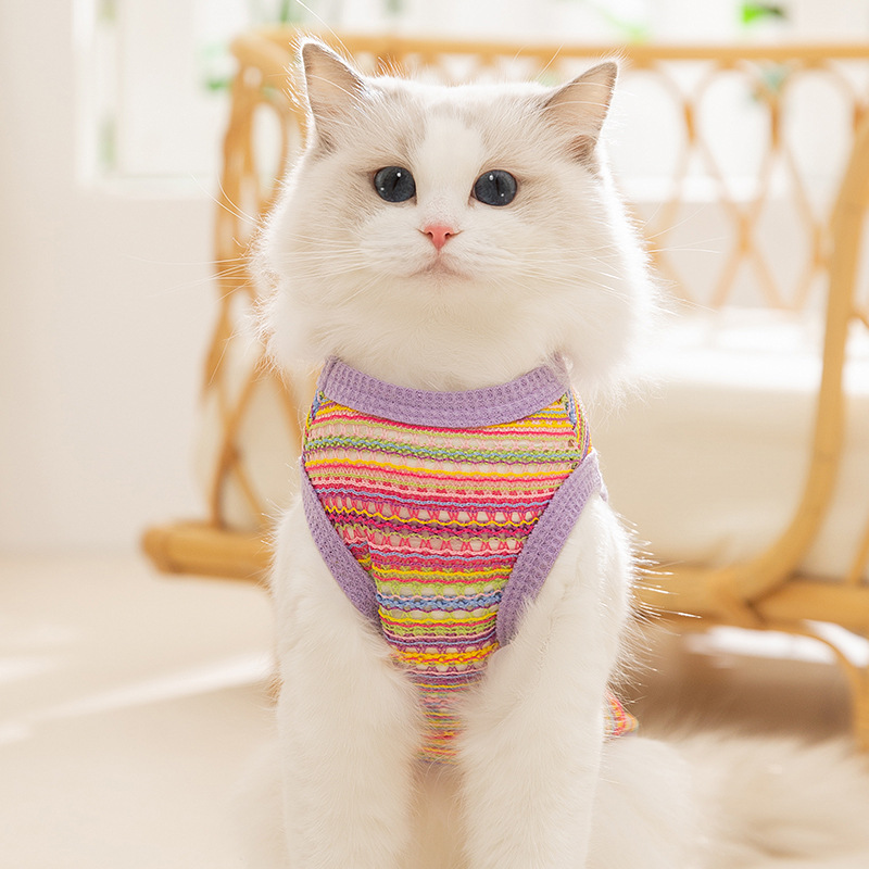Primavera y verano gatos no peludos gatos multicolores tejidos chalecos huecos perros perros pequeños y medianos Teddy Bear ropa de mascotas