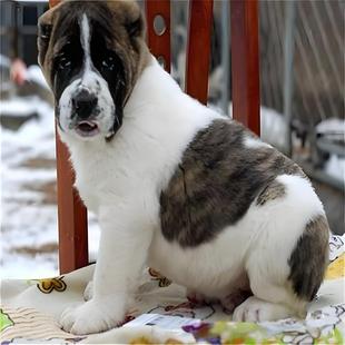 ���N��Ǽܾ����Ё�����Ȯ���w���������o�lȮ���CȮ���ͷ���Ȯ